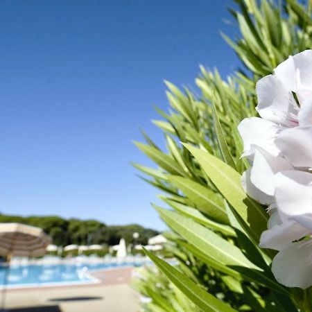 Isa-Apartments 4 Beds In Residence With Swimming-Pool In San Vincenzo, Just 600 Meters From The Sea Zewnętrze zdjęcie