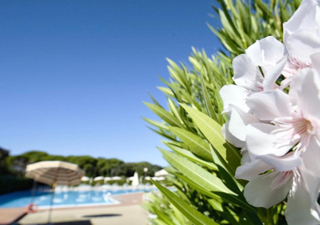Isa-Apartments 4 Beds In Residence With Swimming-Pool In San Vincenzo, Just 600 Meters From The Sea Zewnętrze zdjęcie